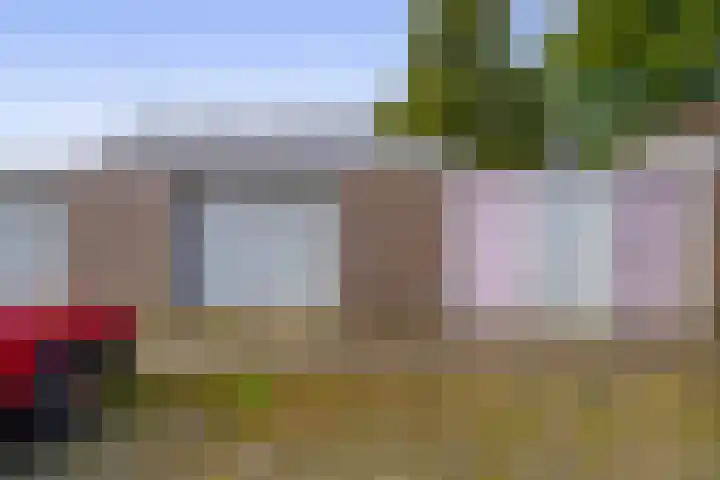Heilige Stoel 4206 Wijchen thumbnail 20