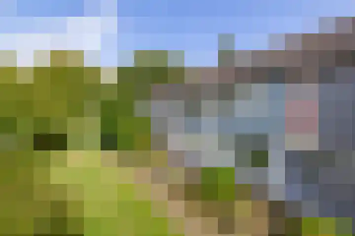 Heilige Stoel 4206 Wijchen thumbnail 21