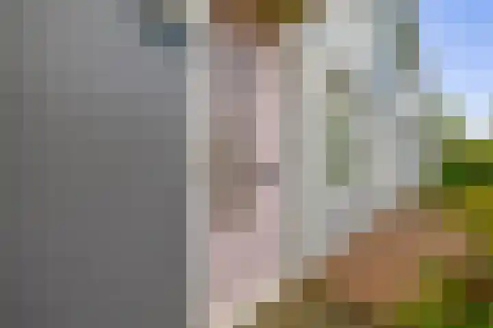 Heilige Stoel 4206 Wijchen thumbnail 23
