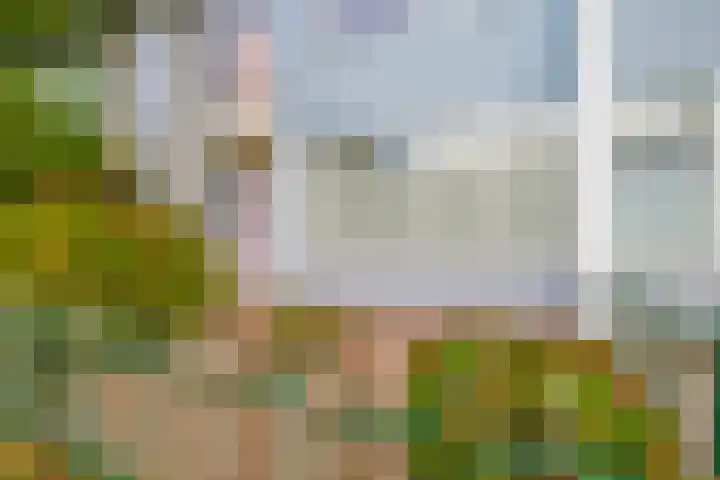 Heilige Stoel 4206 Wijchen thumbnail 24