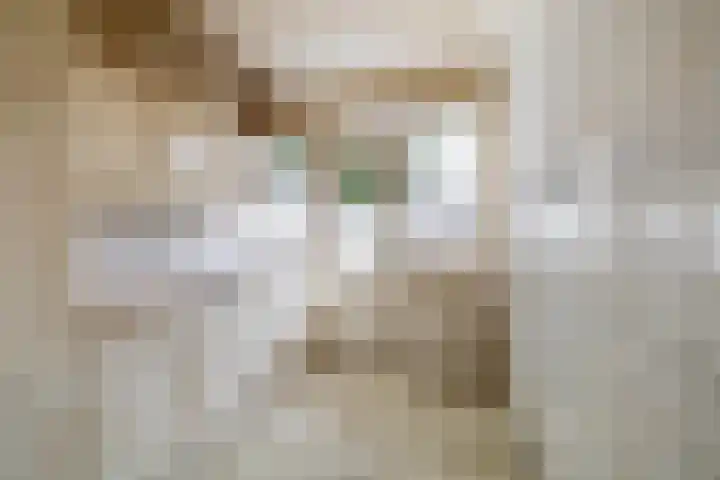 Heilige Stoel 4206 Wijchen thumbnail 6