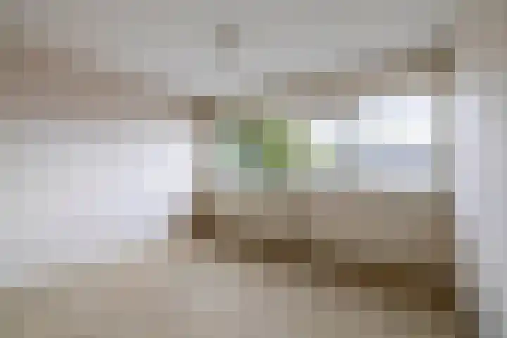 Heilige Stoel 4206 Wijchen thumbnail 8