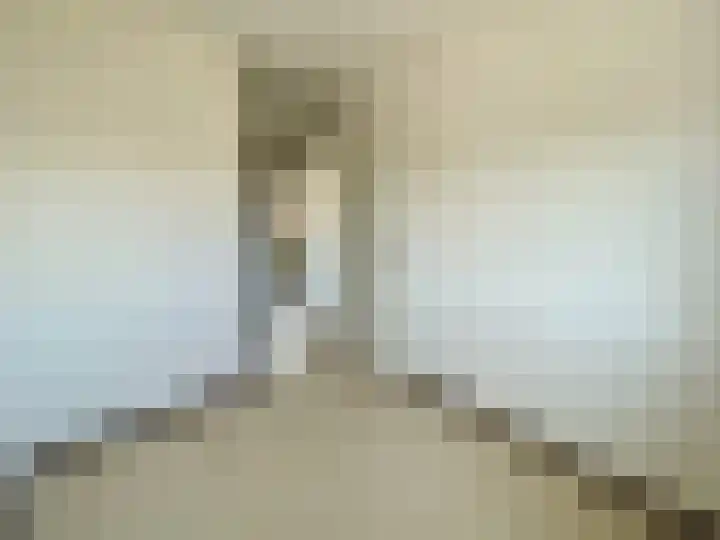 Heilige Stoel 4604 Wijchen thumbnail 25