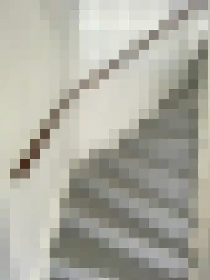 Heilige Stoel 4604 Wijchen thumbnail 32