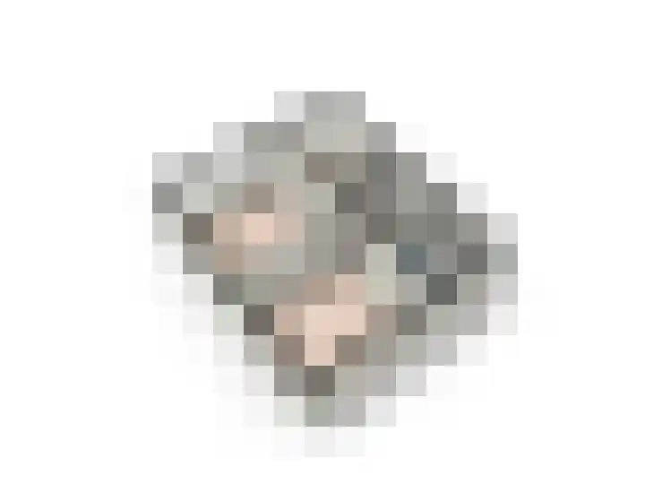 Heilige Stoel 4604 Wijchen thumbnail 39