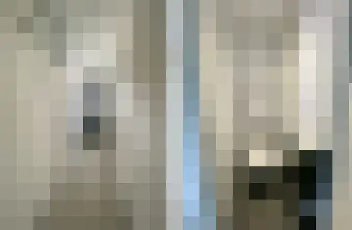 Heilige Stoel 4604 Wijchen thumbnail 8