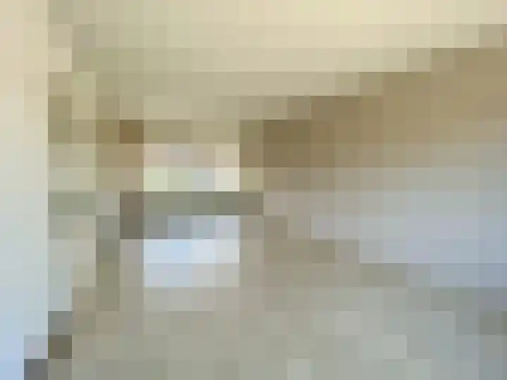Heilige Stoel 4604 Wijchen thumbnail 9