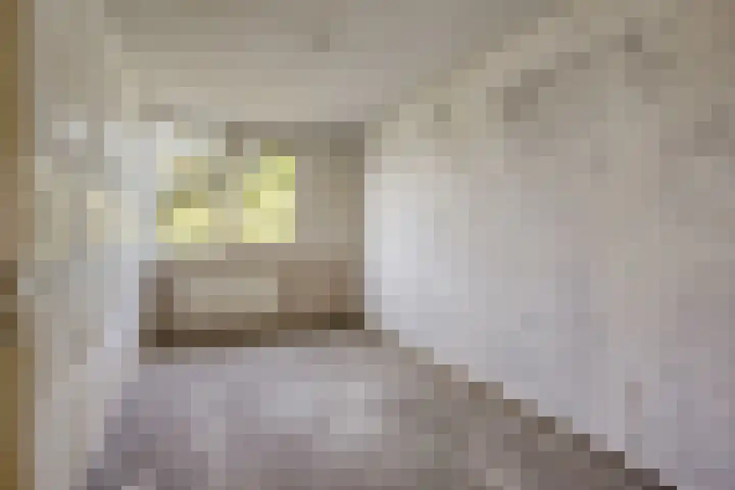 Heilige Stoel 4841 Wijchen thumbnail 12