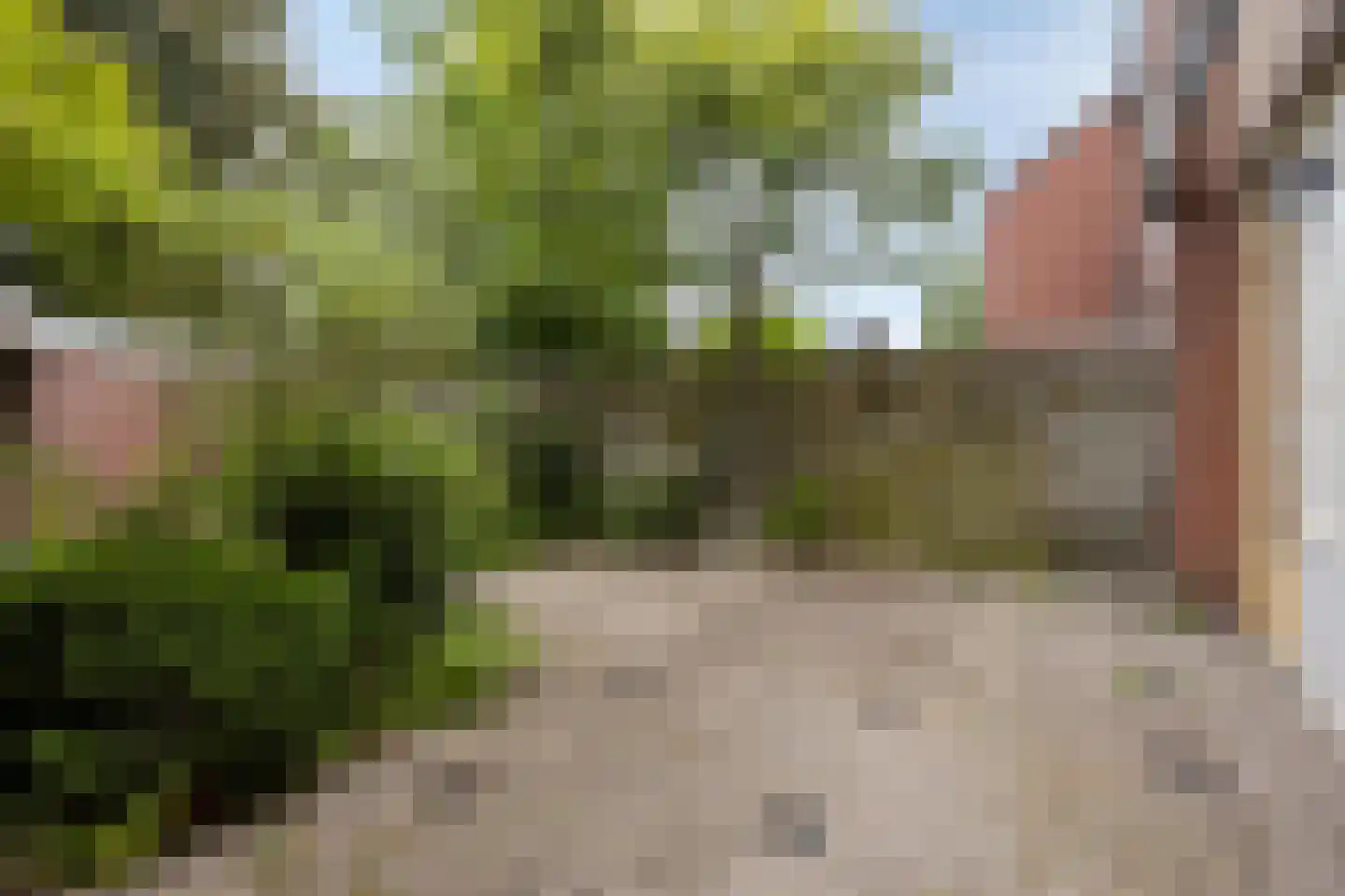 Heilige Stoel 4841 Wijchen thumbnail 19