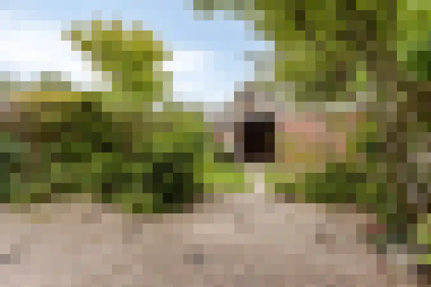 Heilige Stoel 4841 Wijchen thumbnail 20