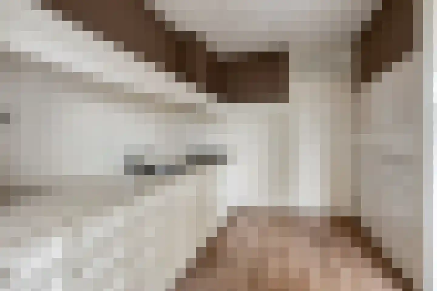 Heilige Stoel 4841 Wijchen thumbnail 6