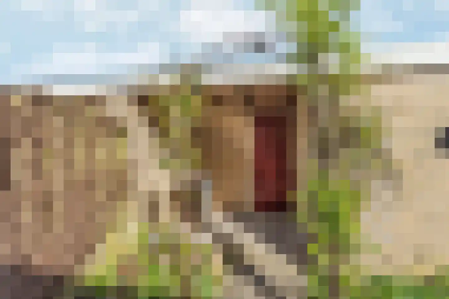 Heilige Stoel 5005 Wijchen thumbnail 28