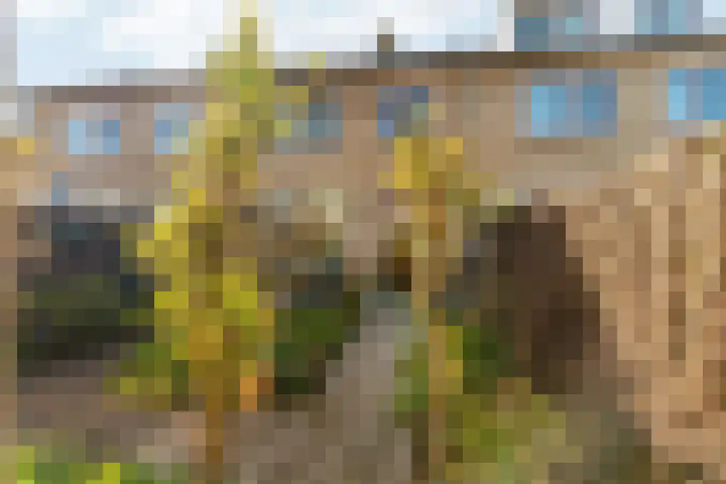 Heilige Stoel 5005 Wijchen thumbnail 30