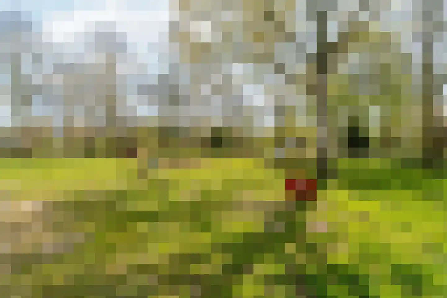 Heilige Stoel 5005 Wijchen thumbnail 34