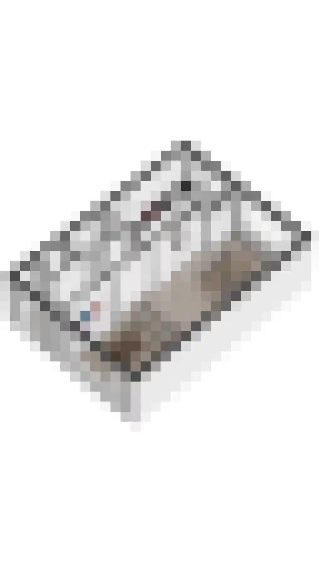 Heilige Stoel 5005 Wijchen thumbnail 42