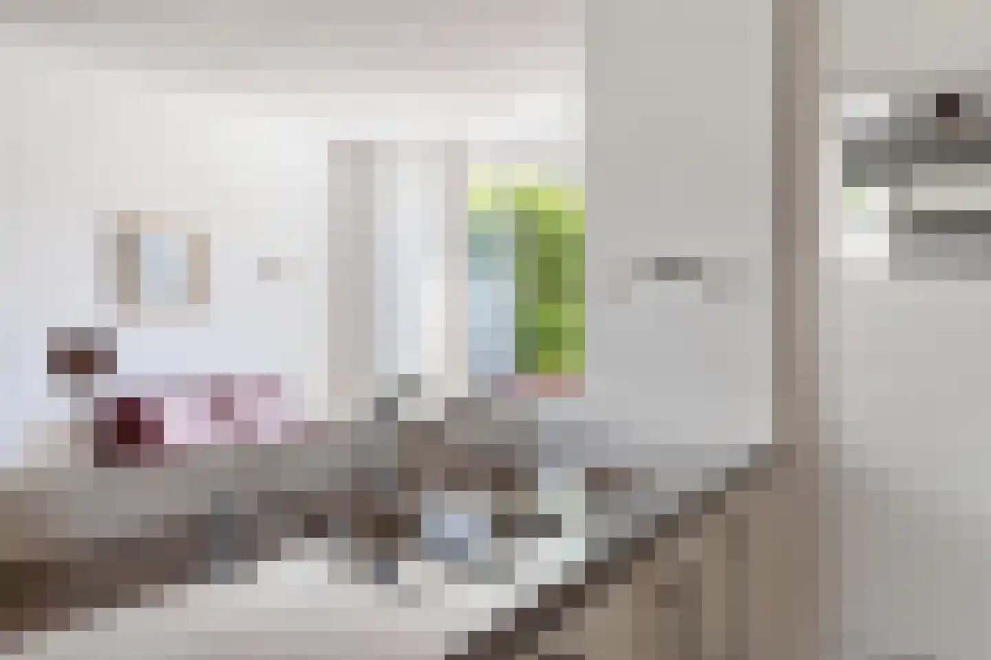 Heilige Stoel 5011 Wijchen thumbnail 17
