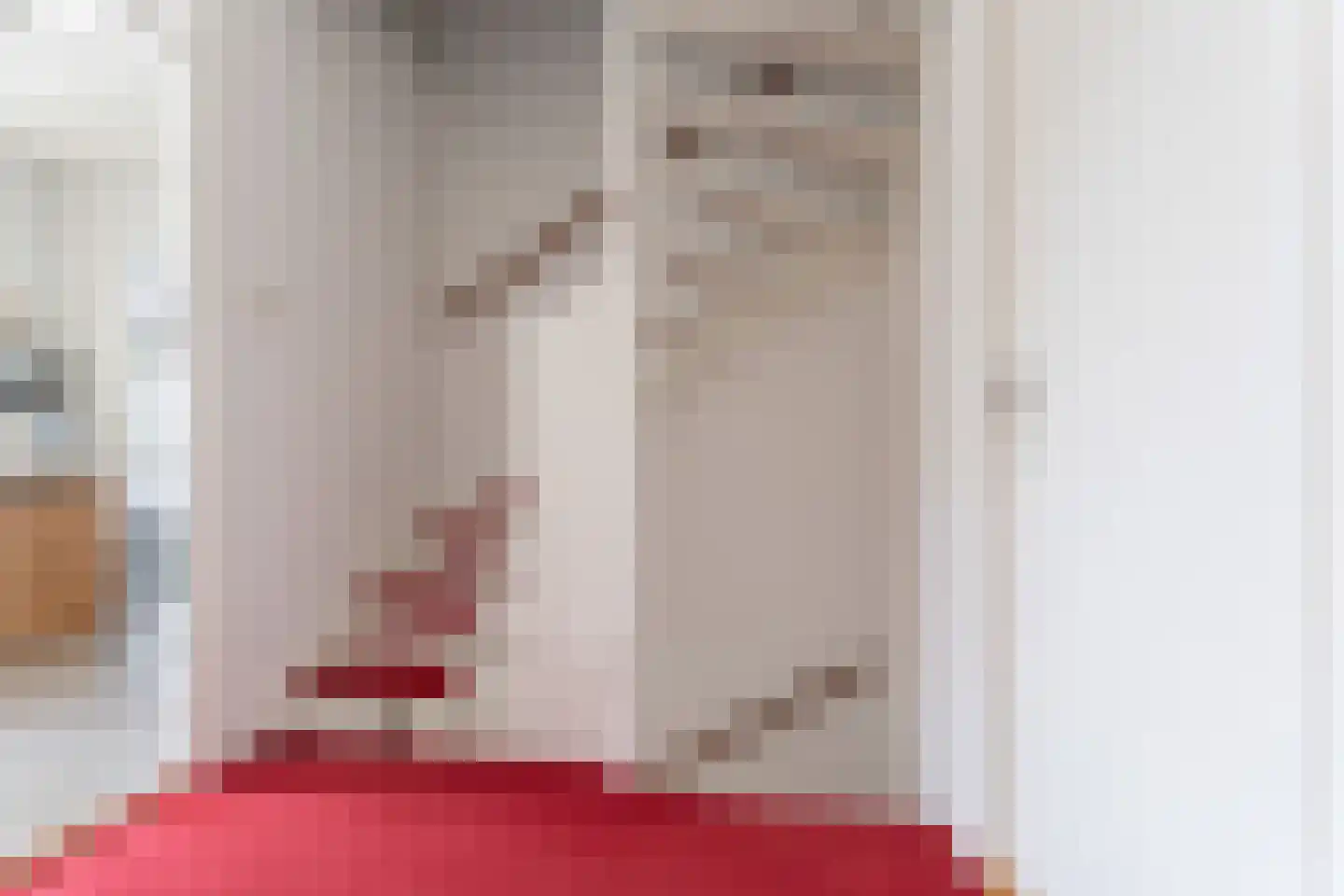 Heilige Stoel 5011 Wijchen thumbnail 25