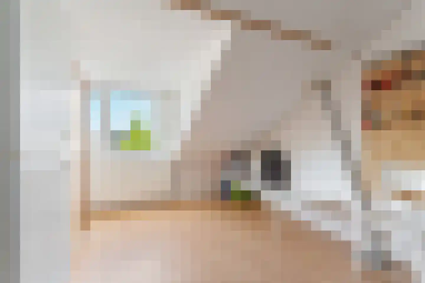 Heilige Stoel 5011 Wijchen thumbnail 40