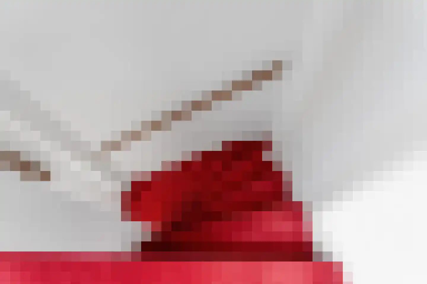 Heilige Stoel 5011 Wijchen thumbnail 44