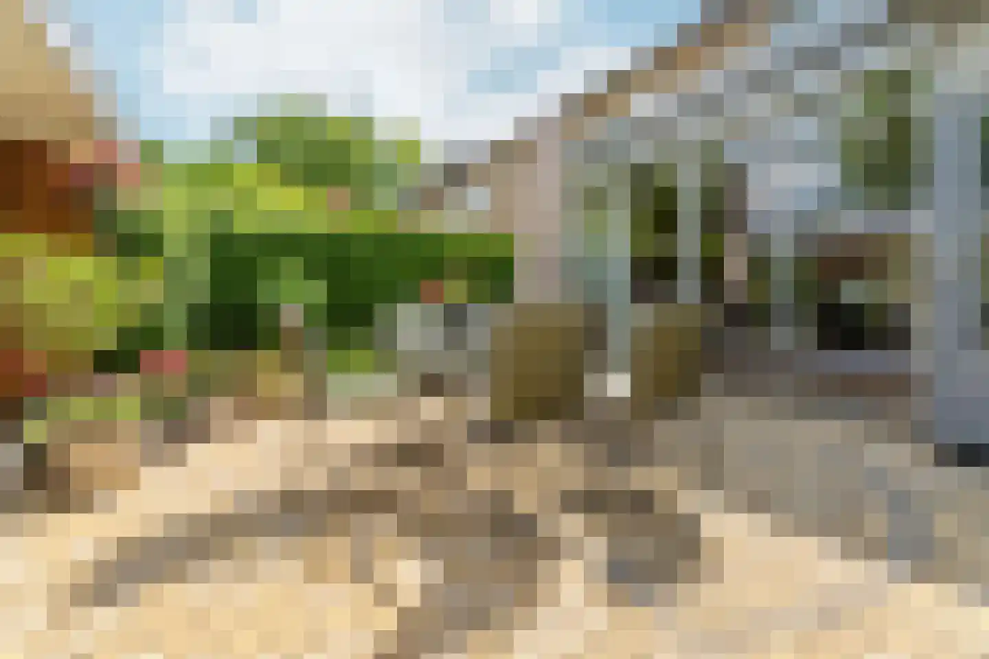 Heilige Stoel 5011 Wijchen thumbnail 51