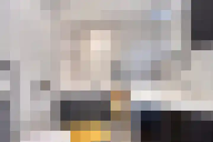 Heilige Stoel 5013 Wijchen thumbnail 15