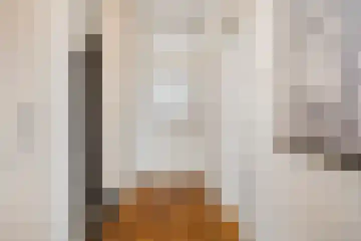 Heilige Stoel 5222 Wijchen thumbnail 11