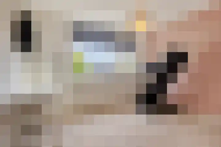 Heilige Stoel 5222 Wijchen thumbnail 14
