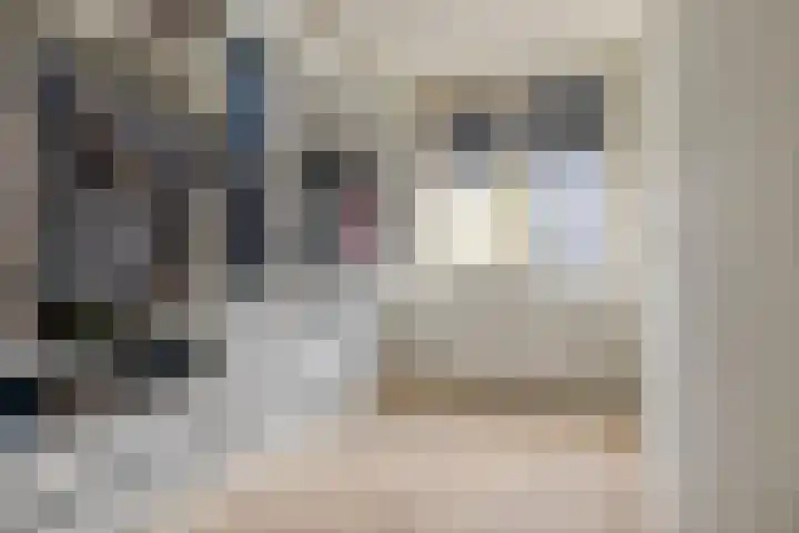 Heilige Stoel 5222 Wijchen thumbnail 15