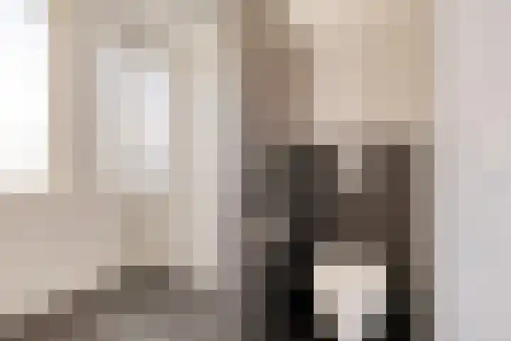 Heilige Stoel 5222 Wijchen thumbnail 17