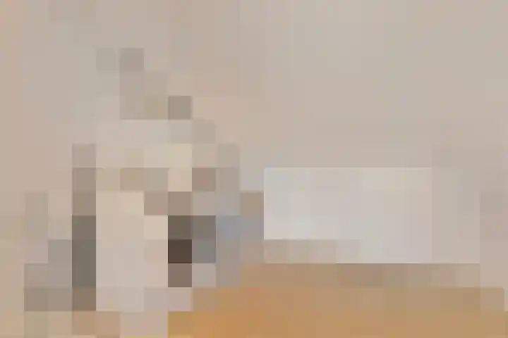 Heilige Stoel 5222 Wijchen thumbnail 20