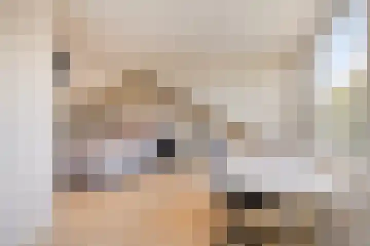 Heilige Stoel 5222 Wijchen thumbnail 22