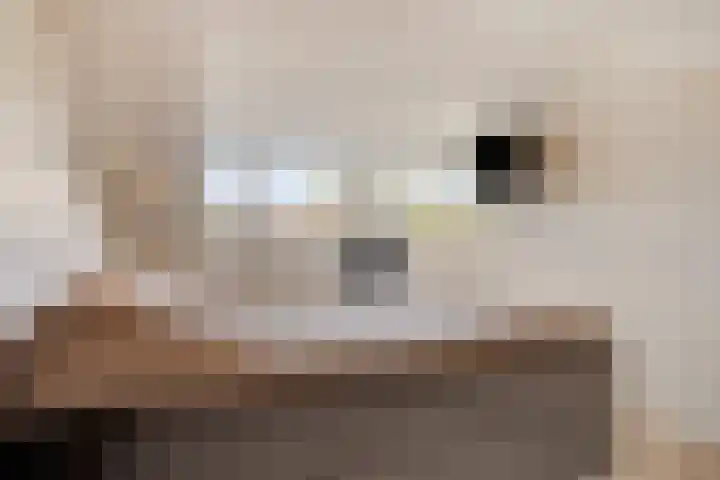 Heilige Stoel 5222 Wijchen thumbnail 24