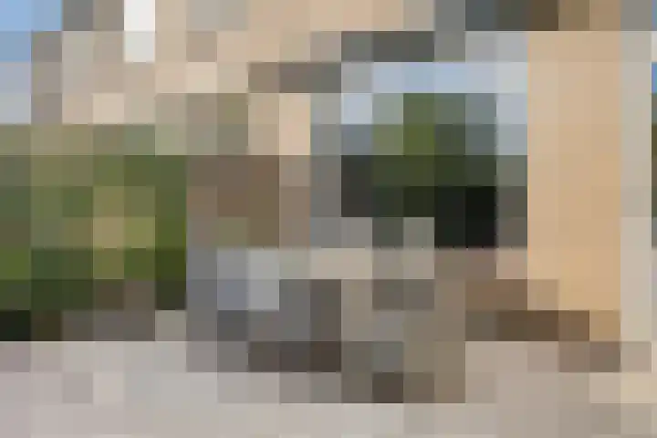 Heilige Stoel 5222 Wijchen thumbnail 26