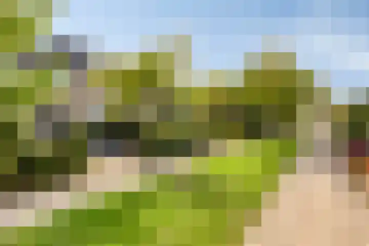 Heilige Stoel 5222 Wijchen thumbnail 31