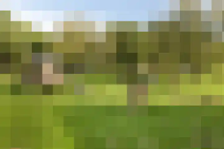 Heilige Stoel 5222 Wijchen thumbnail 32