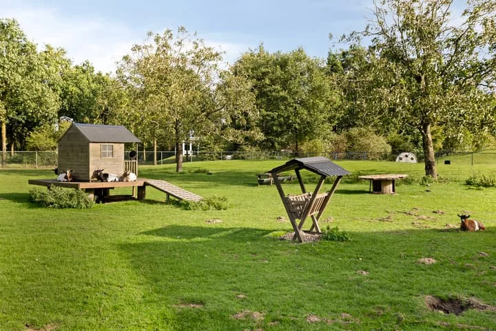 Heilige Stoel 5222 Wijchen thumbnail 32