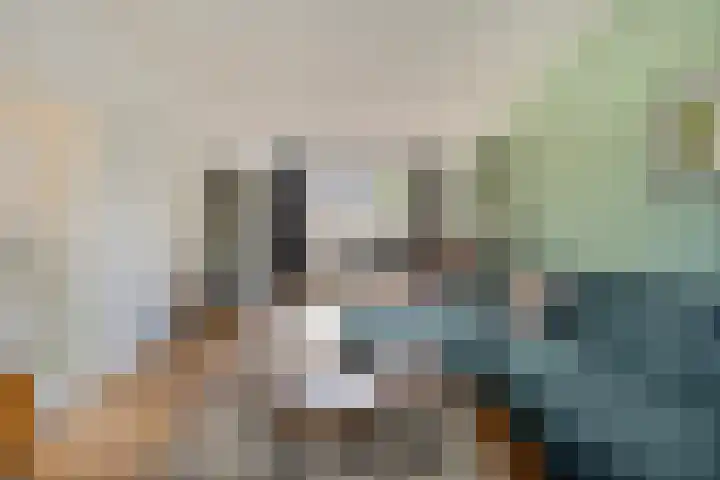 Heilige Stoel 5222 Wijchen thumbnail 4