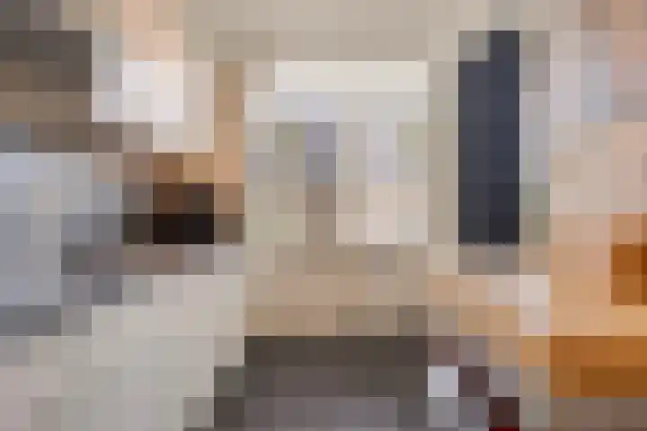 Heilige Stoel 5222 Wijchen thumbnail 8