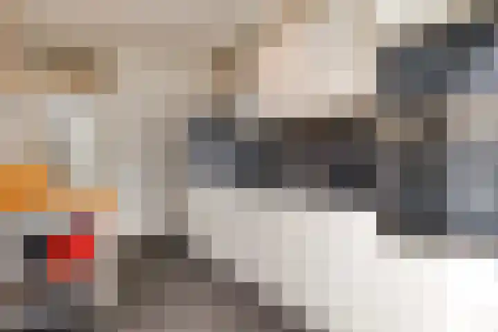 Heilige Stoel 5222 Wijchen thumbnail 9