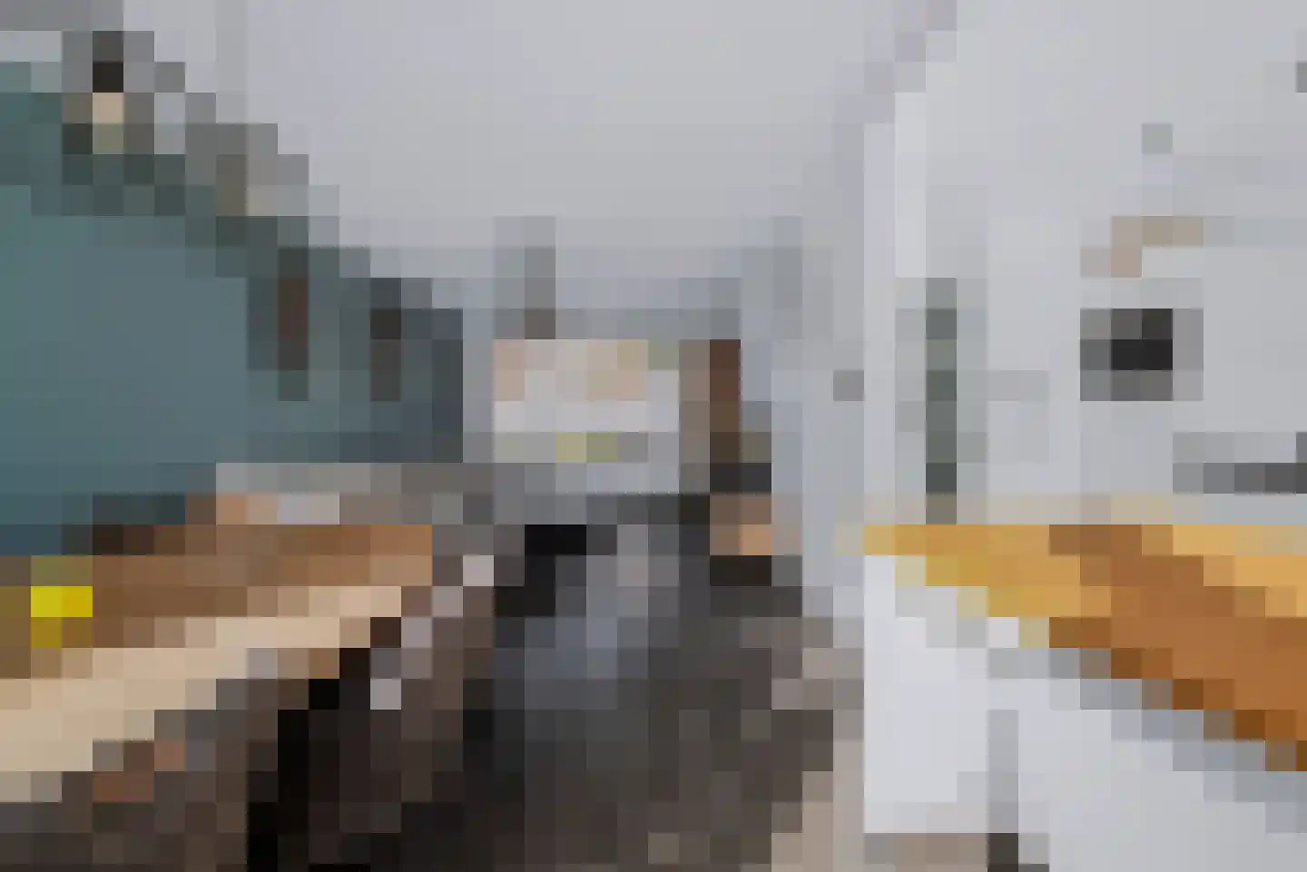 Heilige Stoel 5234 Wijchen thumbnail 12
