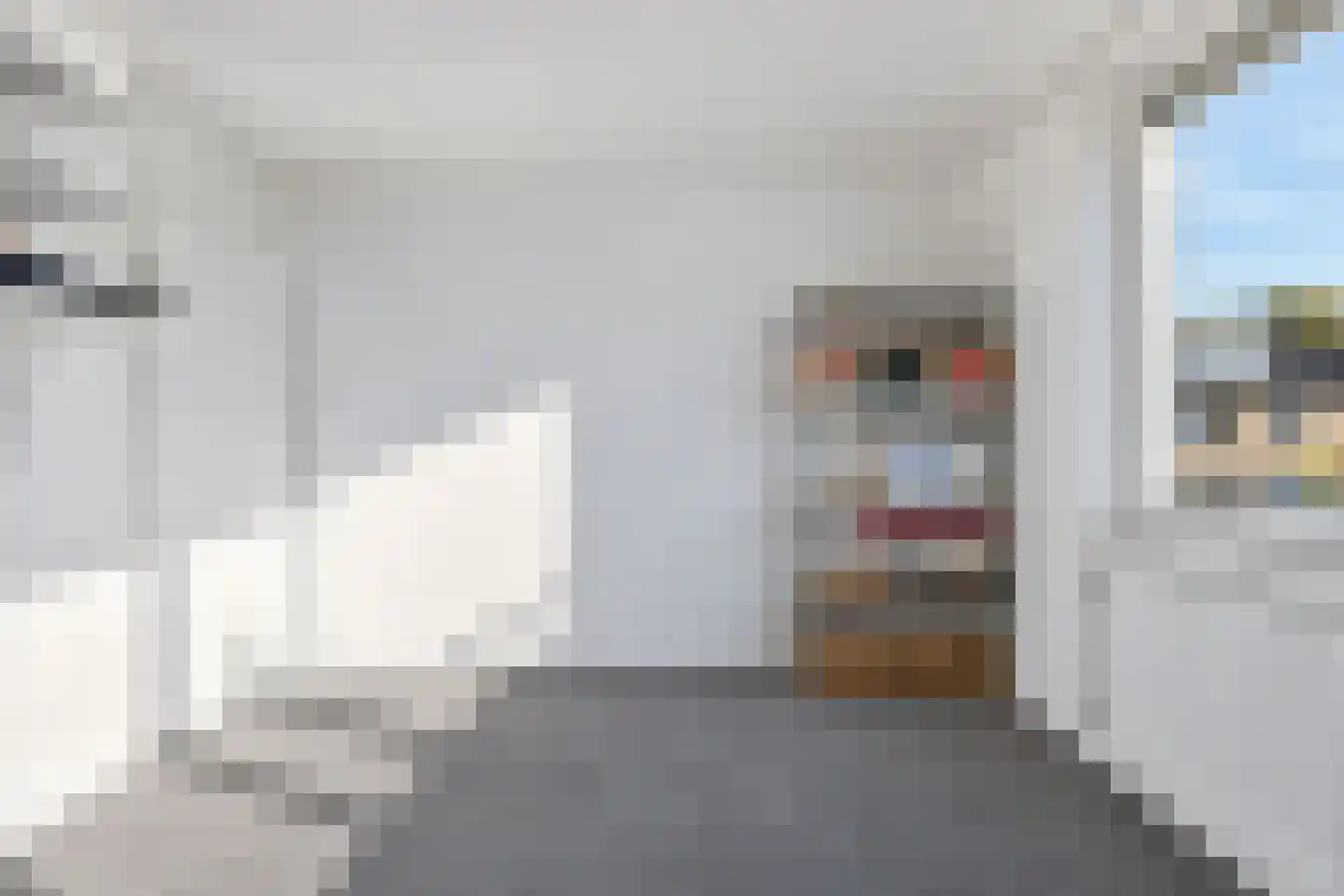 Heilige Stoel 5234 Wijchen thumbnail 27