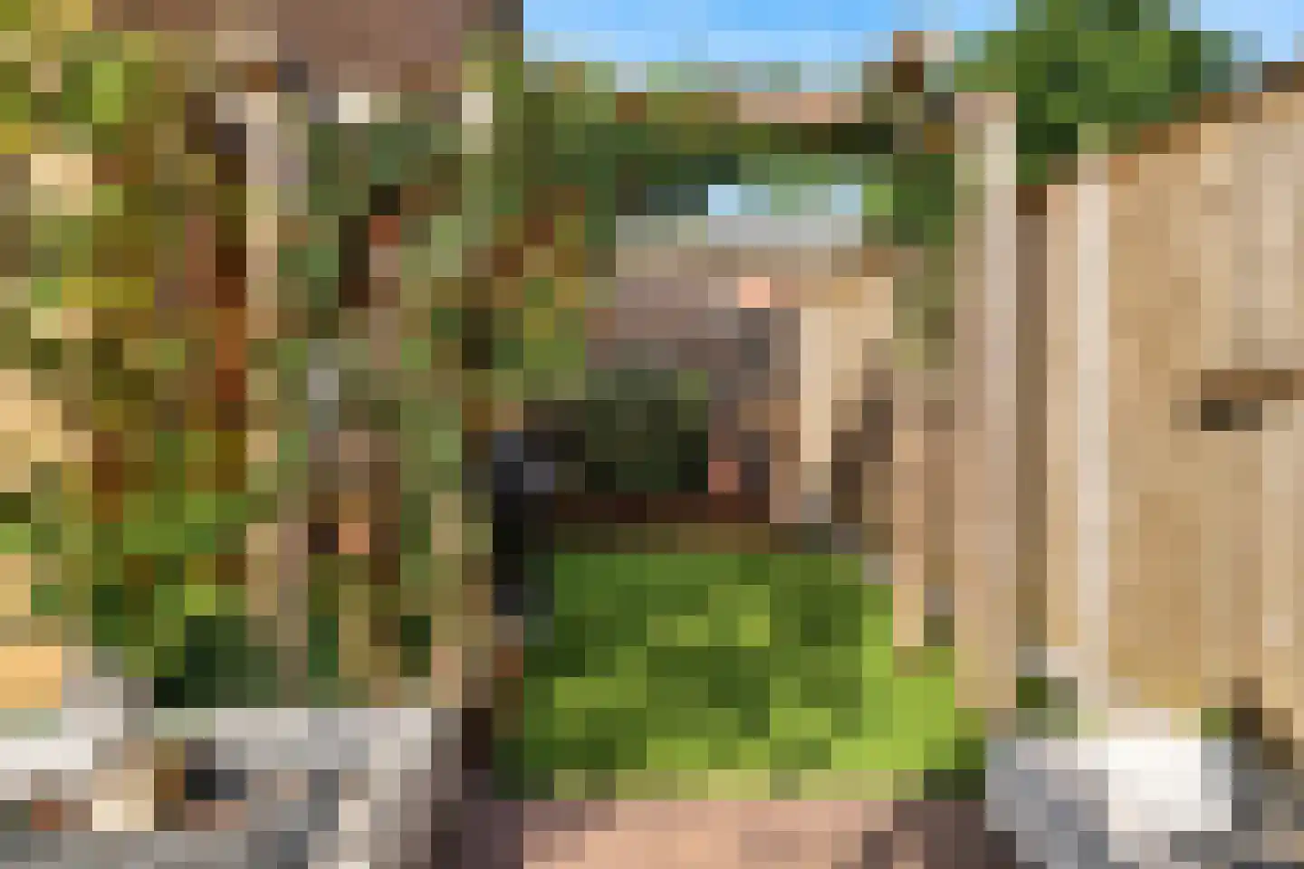Heilige Stoel 5234 Wijchen thumbnail 34