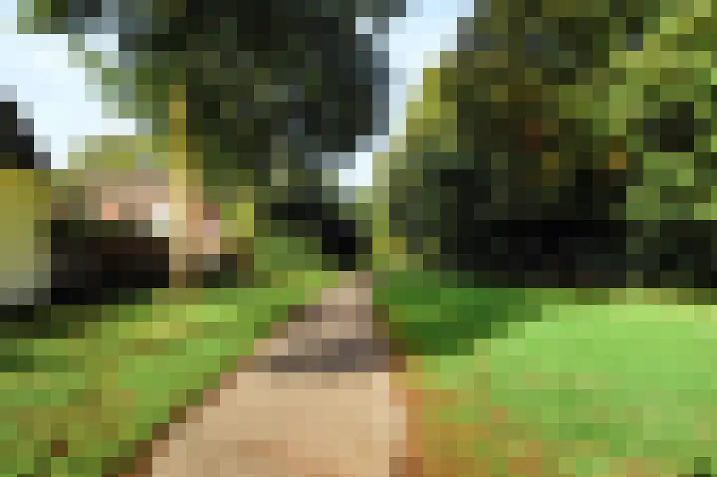 Heilige Stoel 5234 Wijchen thumbnail 41