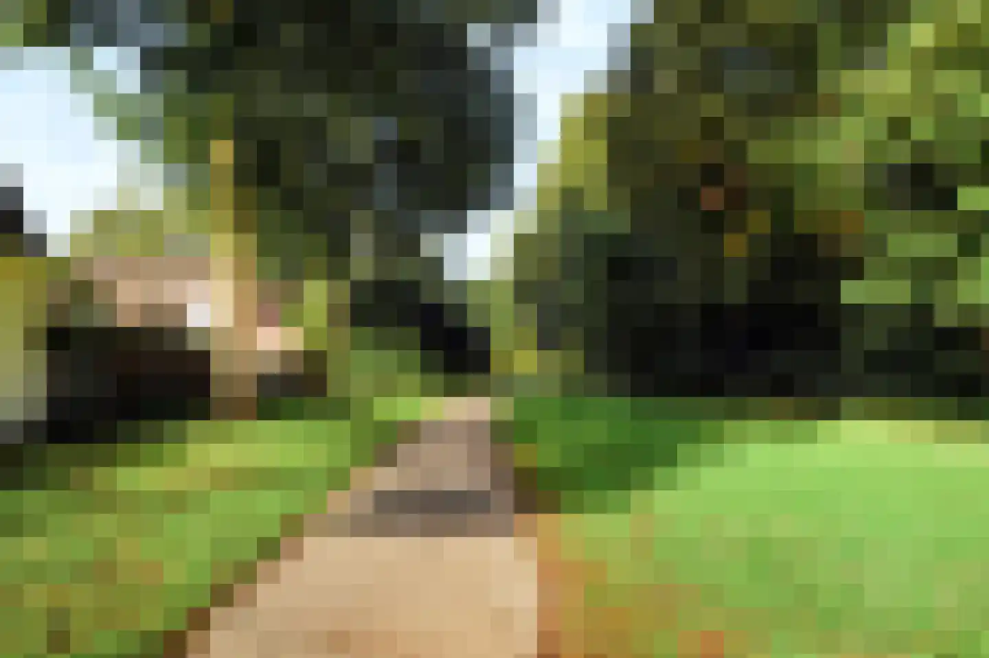 Heilige Stoel 5234 Wijchen thumbnail 42