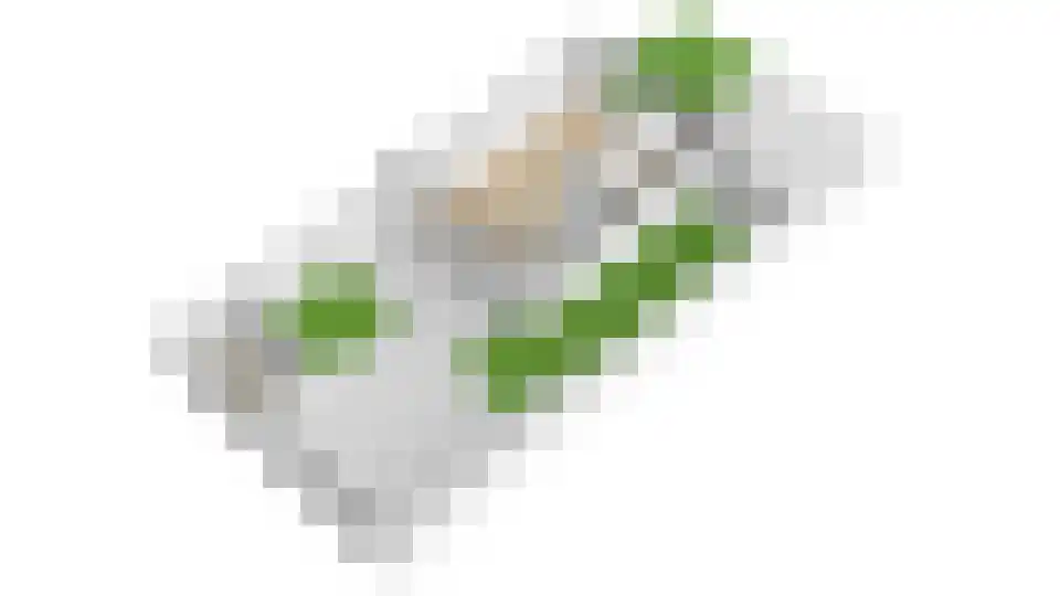 Heilige Stoel 5234 Wijchen thumbnail 47