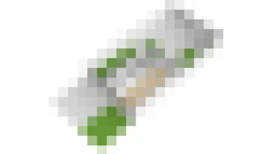 Heilige Stoel 5234 Wijchen thumbnail 48