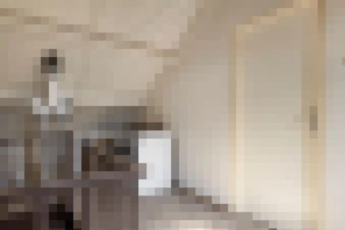 Heilige Stoel 5333 Wijchen thumbnail 18