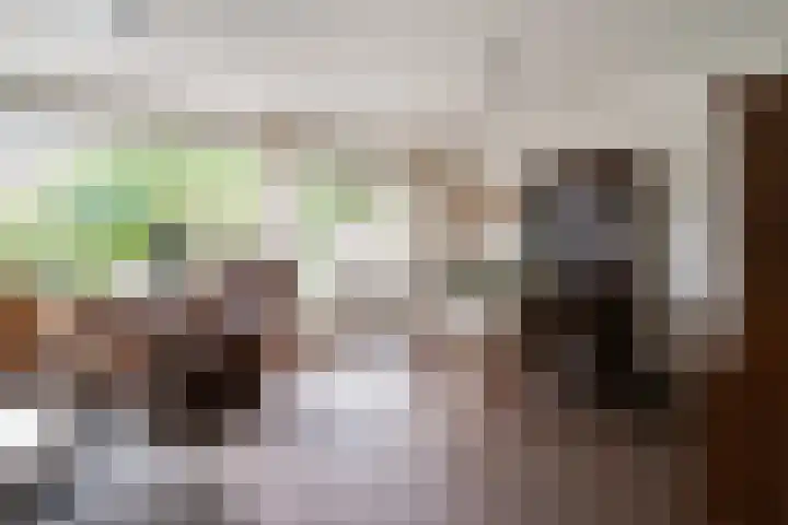 Heilige Stoel 5335 Wijchen thumbnail 10