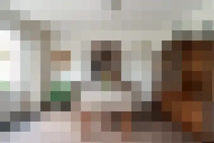 Heilige Stoel 5335 Wijchen thumbnail 11