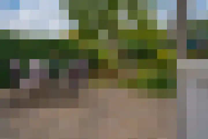 Heilige Stoel 5335 Wijchen thumbnail 17